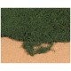 1678 (G/HO/TT/N/Z) Heki Лиственный коврик цвет сосновых иголок 28х14 см