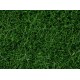 07094 Noch Присыпка трава тёмно-зелёная высота 6 мм, 100 г