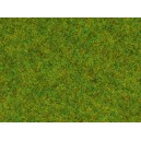 08150 Noch Присыпка флок трава "Весенний луг" 2,5 мм, 120 г